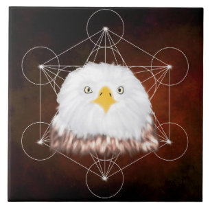 aigle metatron ceramic tile