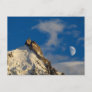 Aiguille du Midi | French Alps France Postcard