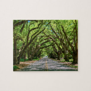 Aiken's South Boundary jigsaw puzzle