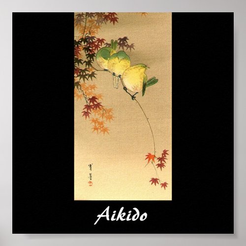 Aikido Japanese Martial Art Poster