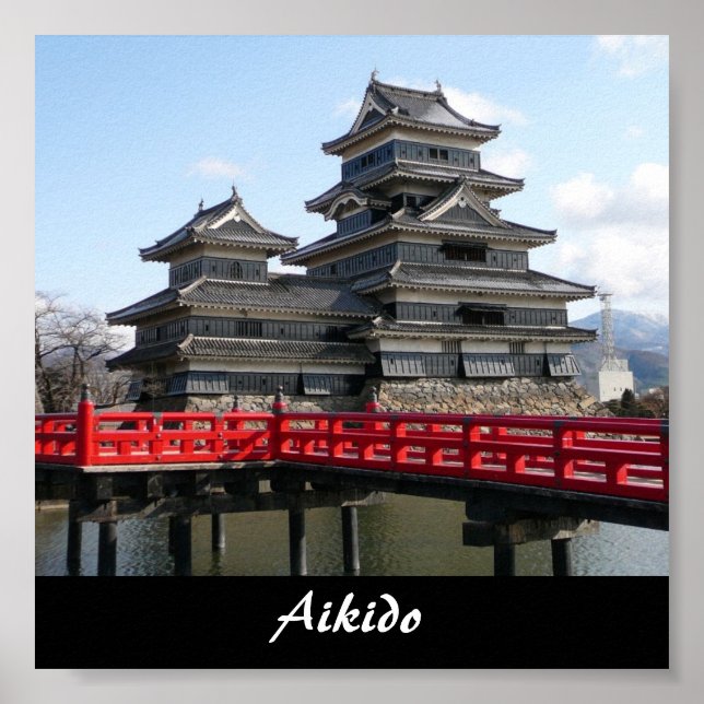 Aikido Japanese Martial Art Poster (Front)