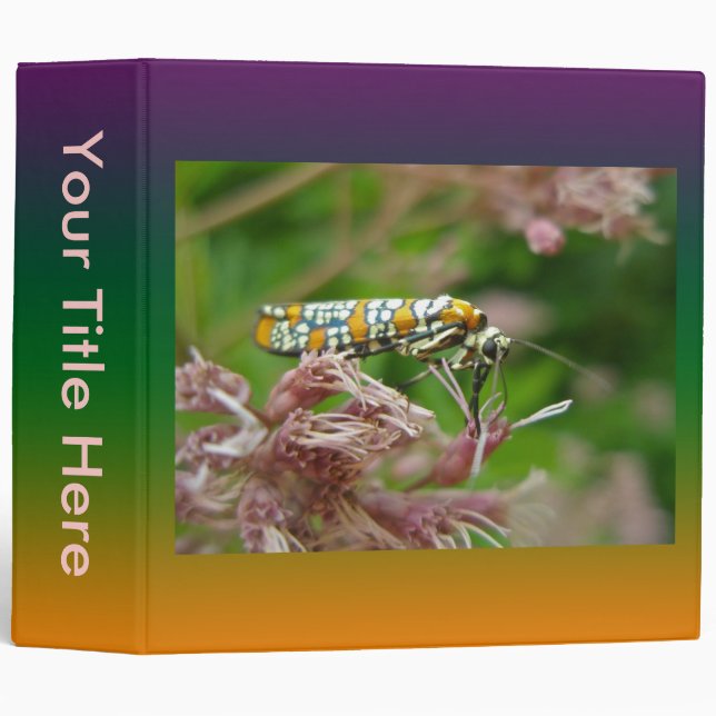 Ailanthus Webworm Moth (Atteva punctella) Binder (Front/Spine)