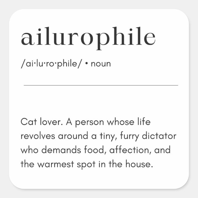 Ailurophile Definition - Cat Lover Square Sticker (Front)