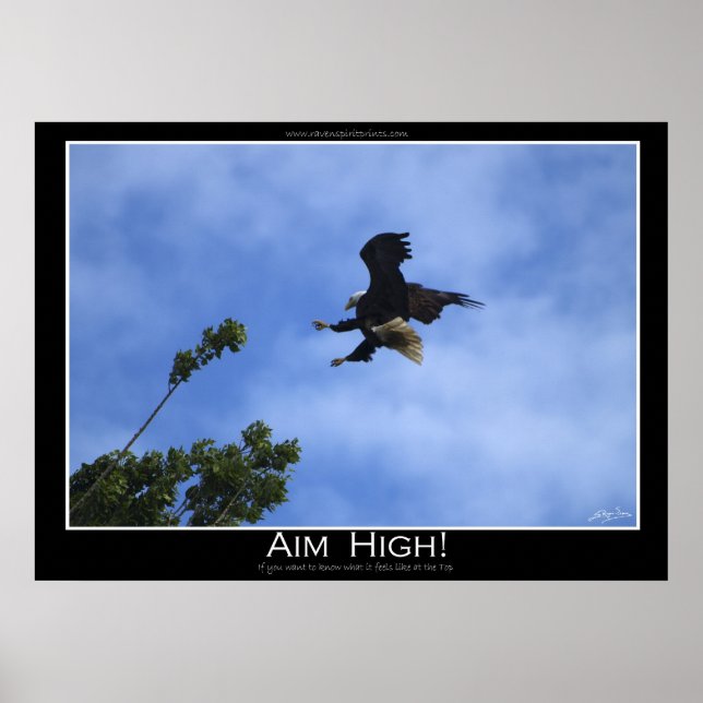 AIM HIGH ~ Motivational Poster (Front)