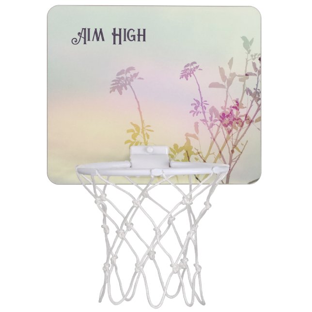 Aim High Pretty  Mini Basketball Hoop (Front)