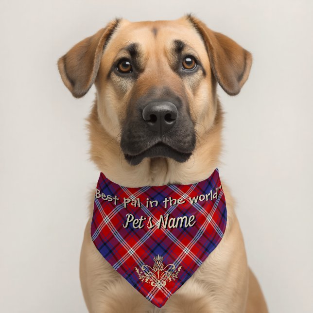 Ainslie Clan Tartan Personalized  Pet Bandana Collar (Dog 2)