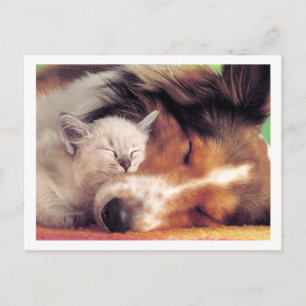 Ain't Love Grand Postcard