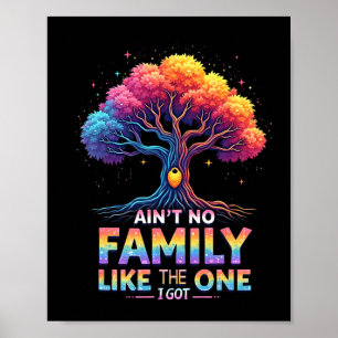 Ain't No Family Like The One I Got Family Reunion Poster