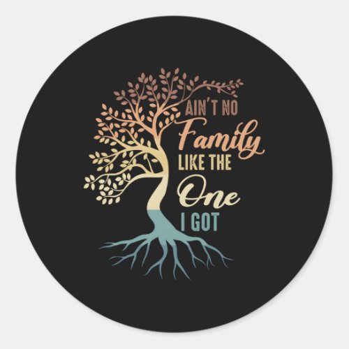 AinT No Family Like The One I Got Family Vacation Classic Round Sticker