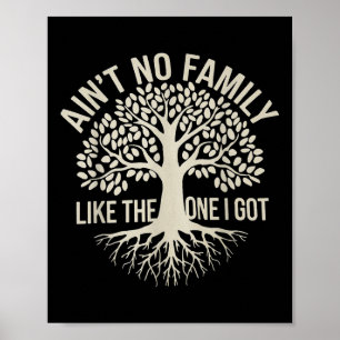 Aint No Family Like The One I Got Funny Family Reu Poster