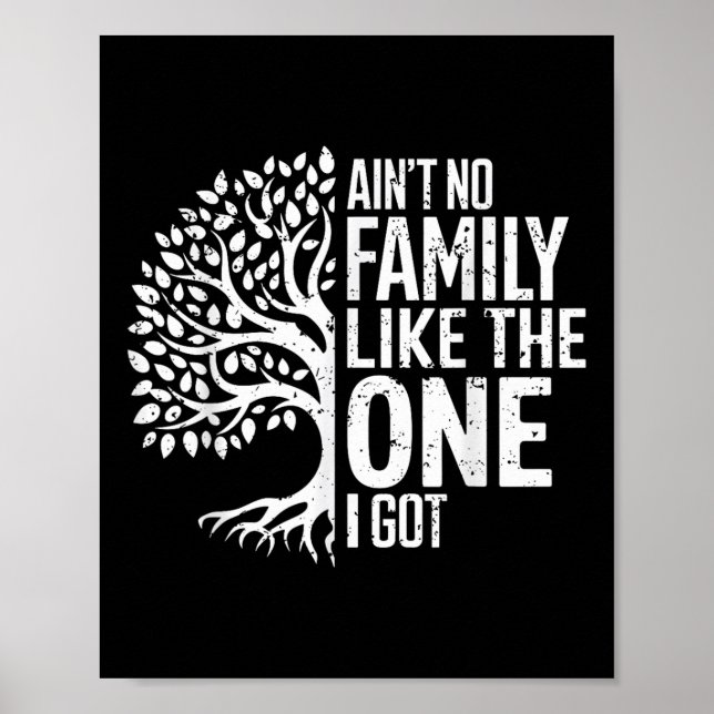 Aint No Family Like The One I Got Funny Family Reu Poster (Front)