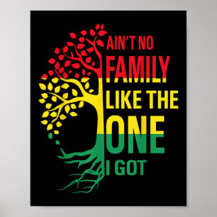 Aint No Family Like The One I Got Funny Family Reu Poster