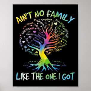 Aint No Family Like The One I Got Matching Family Poster