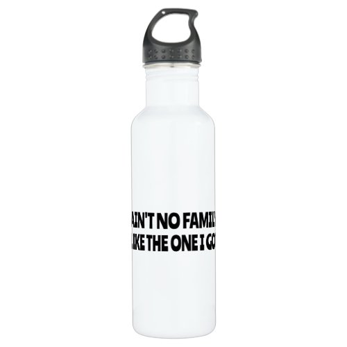 Aint no family like the one I got Stainless Steel Water Bottle