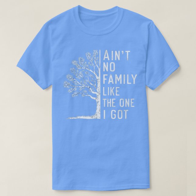 Aint No Family Like The One I Got T-Shirt (Design Front)