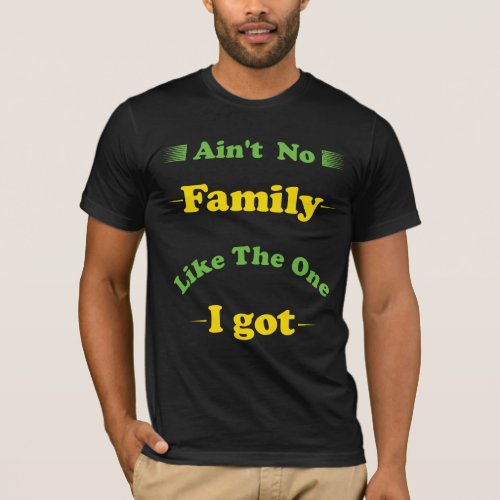 Aint no family like the one i got T_Shirt