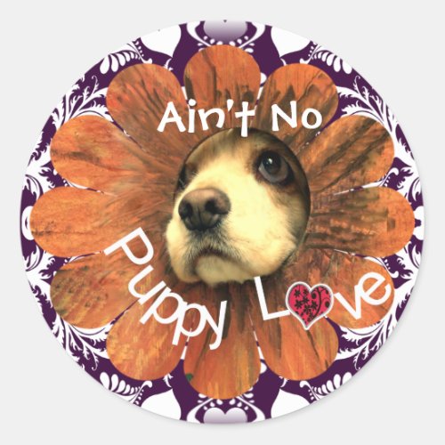 Aint No Puppy Love Puppy Peeking Out of a Flower Classic Round Sticker