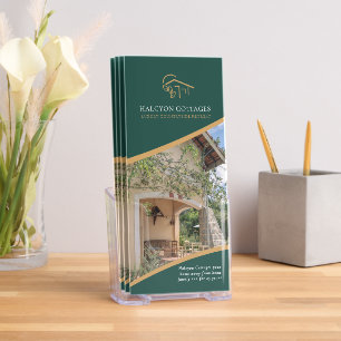 Air BnB accomodation template promo green and gold Brochure