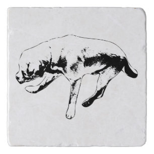 Air Check Trivet