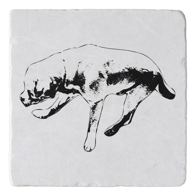 Air Check Trivet (Front)