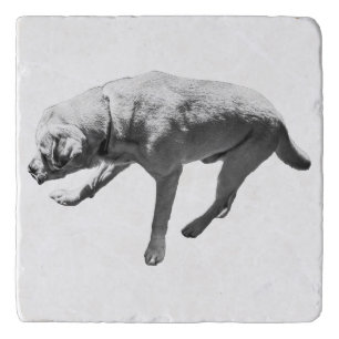 Air Check Trivet