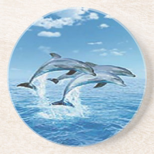 Air Dolphins Coaster