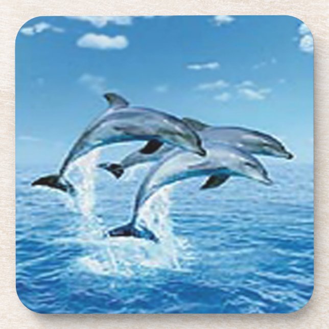 Air Dolphins Coasters (Front)