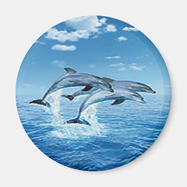 Air Dolphins Magnet (Front)