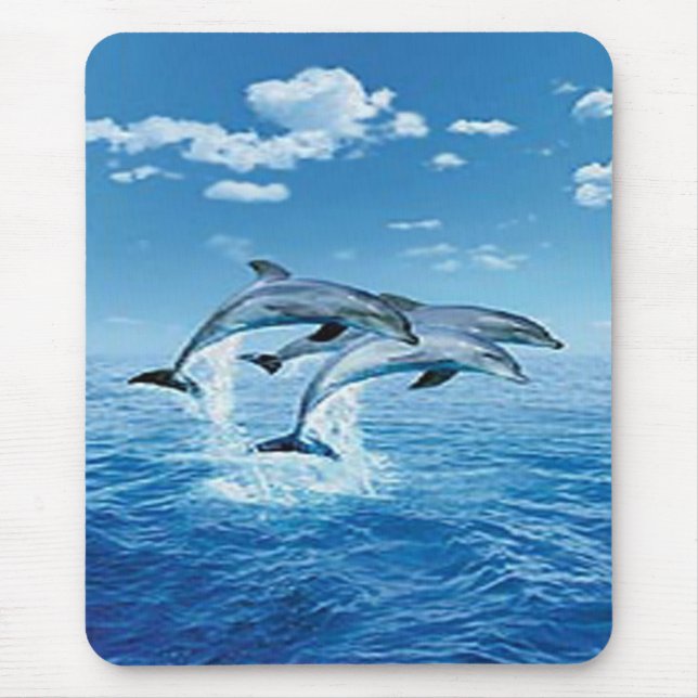 Air Dolphins Mouse Pad (Front)