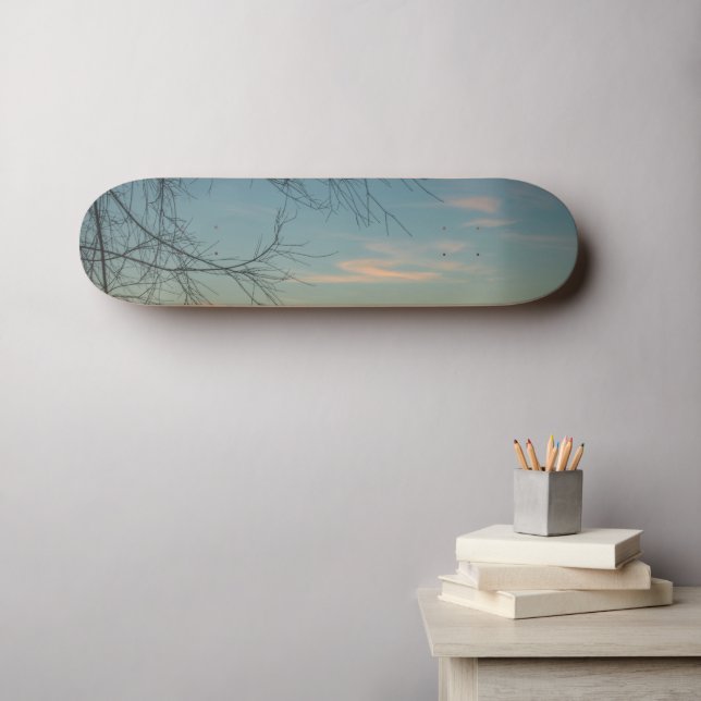 Air & Ease Skateboard (Wall Art (Horz))