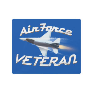 Air Force Veteran Metal Print