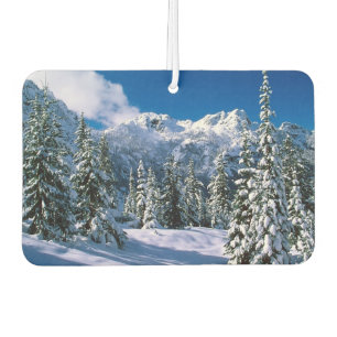 Air Freshener-Alpine Snow Car Air Freshener