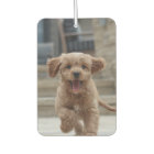 Air Freshener | Your Dog 2 Photo Upload Design