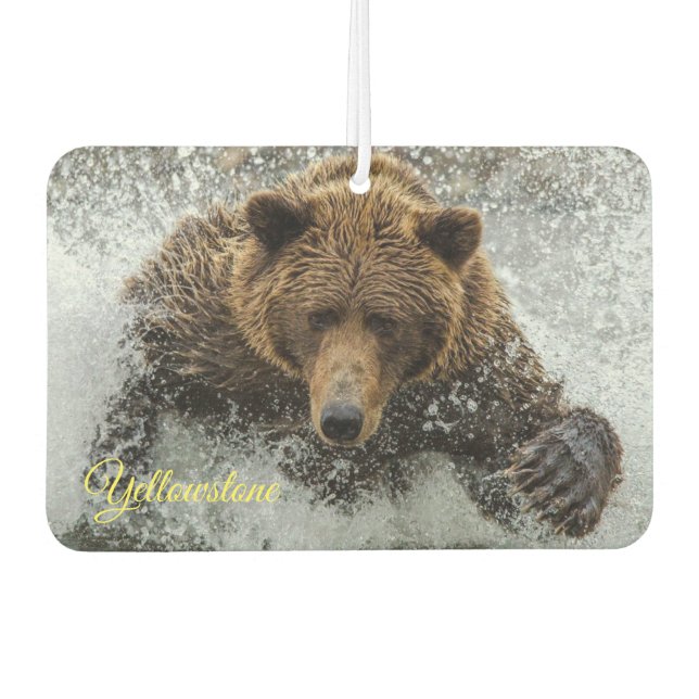 Air Freshner-Yellowstone Bear Air Freshener (Front)