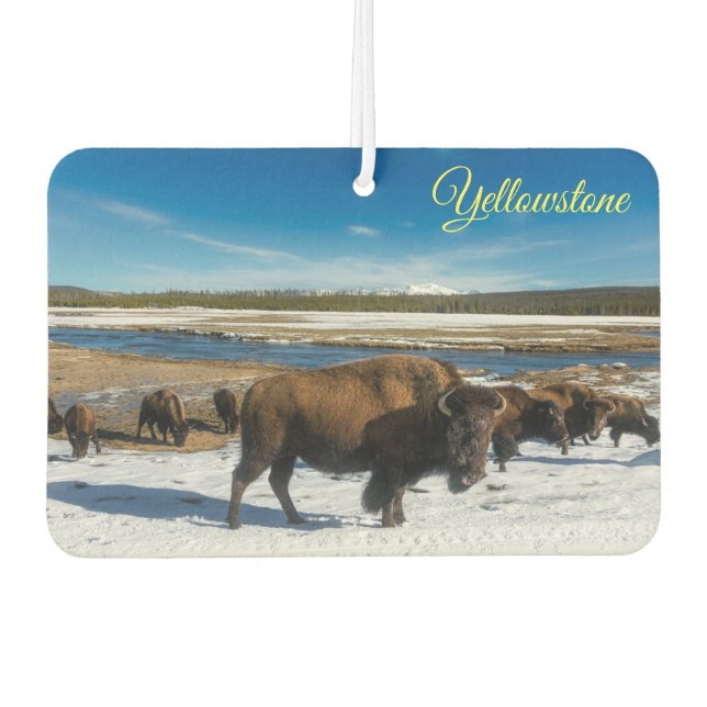 Air Freshner-Yellowstone Buffalo Freshener (Front)