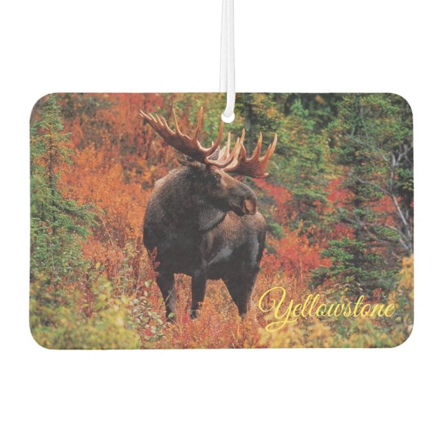 Air Freshner-Yellowstone Moose Freshener (Front)