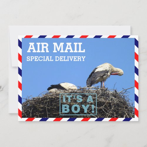 Air Mail Envelope With Storks Sitting in a Nest Invitation