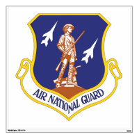 Air National Guard Military Veteran