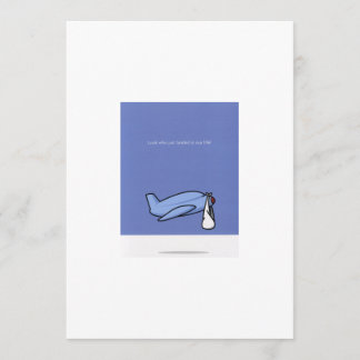 Air Plane Delivery Adoption Announcement