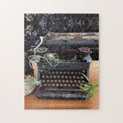 Air Plant and Typewriter Puzzle