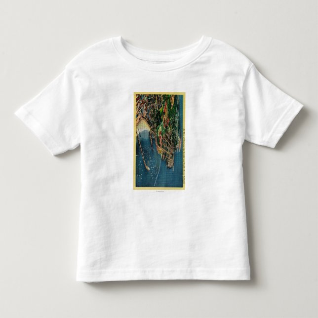 Air View of Monterey and Presido Toddler T-shirt (Front)
