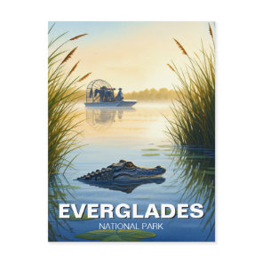 Airboat and Alligator Everglades National Park Postcard