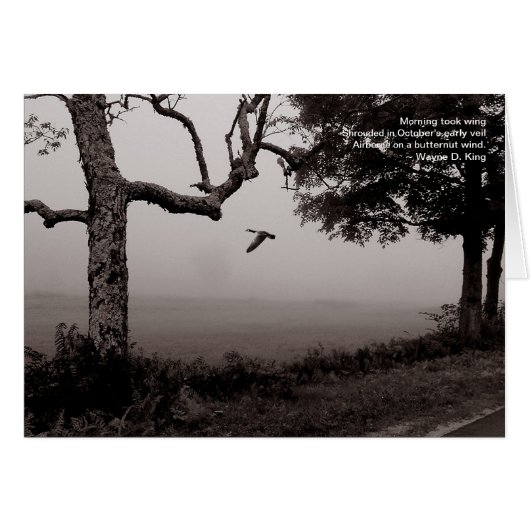 Airborne on a butternut wind cards (Front Horizontal)