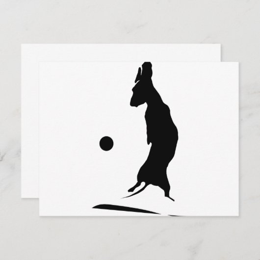 Airborne Weiner (Front/Back)