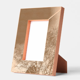 aircraft and tree on black engraved frames