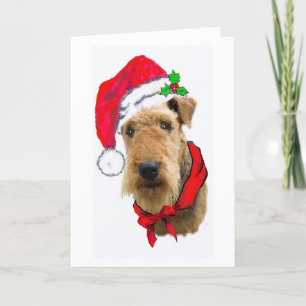 AIREDALE CHRISTMAS CARD