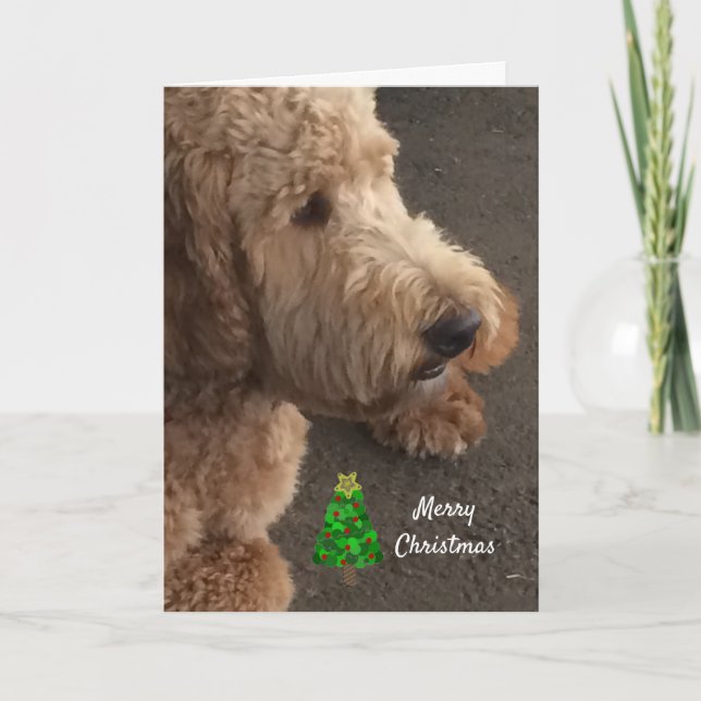 Airedale Dog Christmas Greeting Holiday Card (Front)