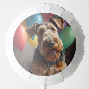 Airedale dog with cake and balloons