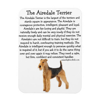 Airedale Info Magnet