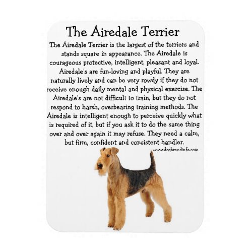 Airedale Info Magnet